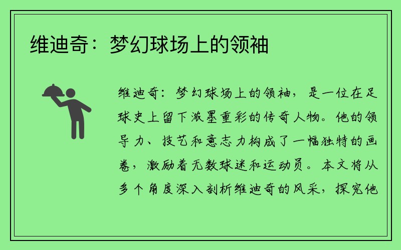 维迪奇：梦幻球场上的领袖