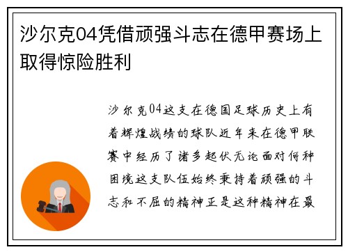 沙尔克04凭借顽强斗志在德甲赛场上取得惊险胜利