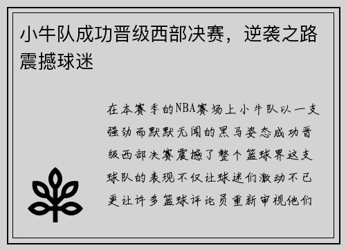小牛队成功晋级西部决赛，逆袭之路震撼球迷
